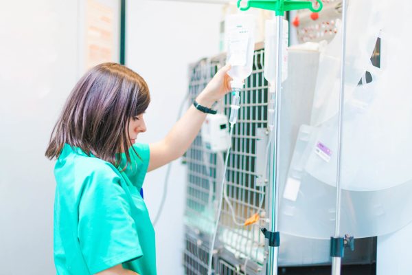 Servicio de guardia y urgencias veterinarias 24h en Hospital Veterinario Riera Alta de Barcelona