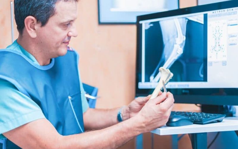 Traumatología Hospital Veterinario Riera Alta Barcelona Servicio de traumatología en Hospital Veterinario Riera Alta Barcelona