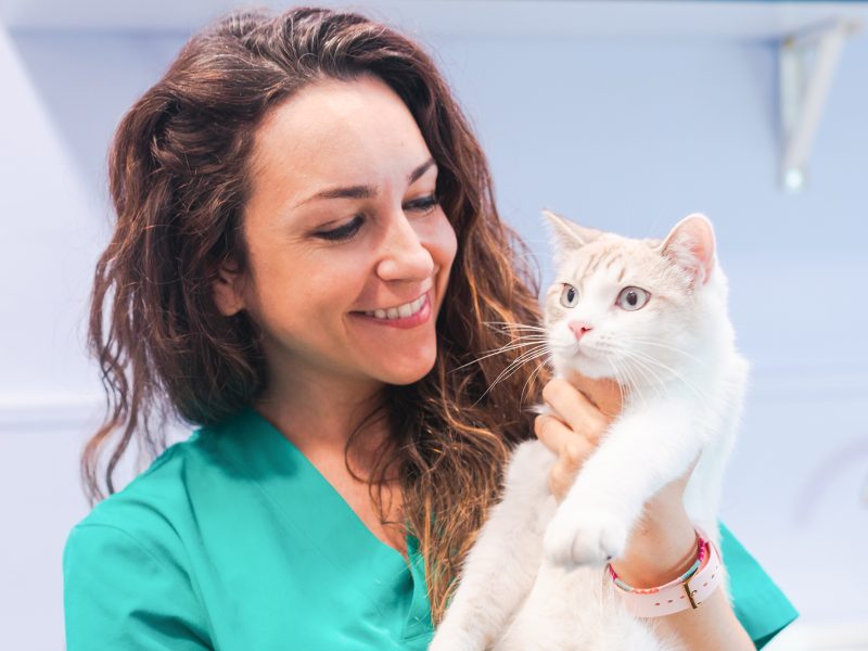 veterinaria con gato en brazos en Hospital Veterinario Riera Alta de Barcelona