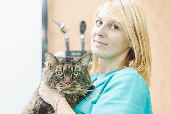 veterinaria con gato en brazos en hospital veterinario riera alta de barcelona