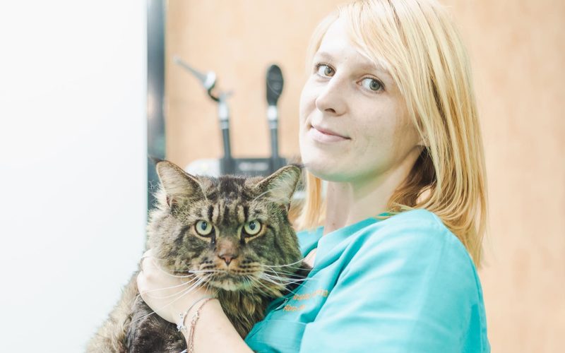 Medicina felina Hospital Veterinario Riera Alta Barcelona veterinaria con gato en brazos en hospital veterinario riera alta de barcelona