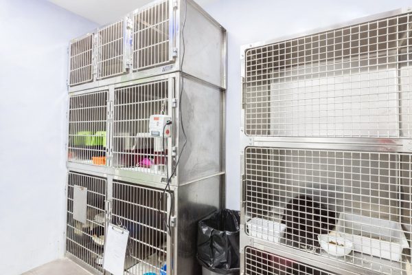 Zona de hospitalización de mascotas con servicio de guardia de Hospital Veterinario Riera Alta Barcelona