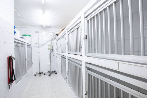 Sala hospitalización mascotas Hospital Veterinario Riera Alta Barcelona