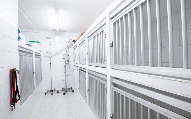 Sala hospitalización mascotas Hospital Veterinario Riera Alta Barcelona