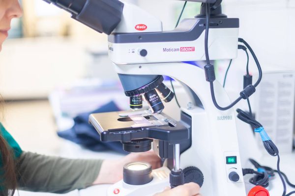 Microscopio de Grup Riera Alta